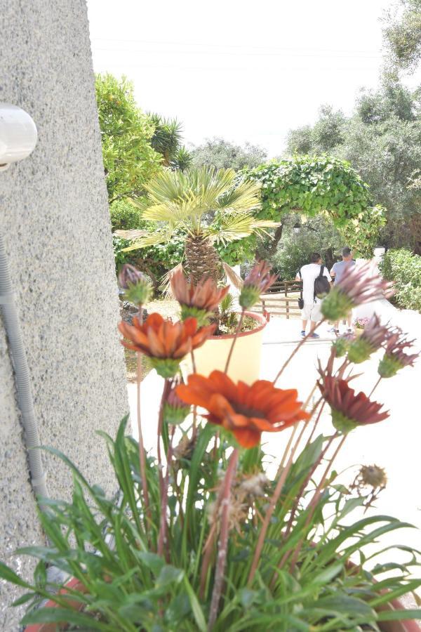 Baracunda Apartament *